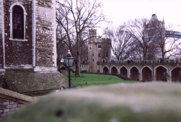 My skill with a camera knows no bounds