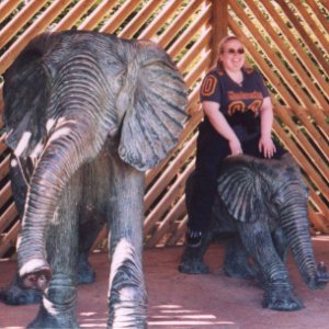 Midgey gets closer to a baby elephant than she anticipated