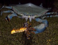 Forgotten Realms Cormyr