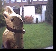 A smug-looking chocolate Easter Bunny surveys the garden, unaware of it's perilously short lifespan