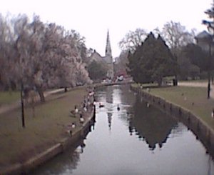 The New River running through Little Park Gardens. The swans have buggered off to warmer climes leaving the Canada Geese, who are used to the cold, being from Canada and all