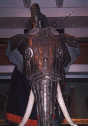 The armoured elephants were used to great effect until the other side started training mice to wear chainmail.