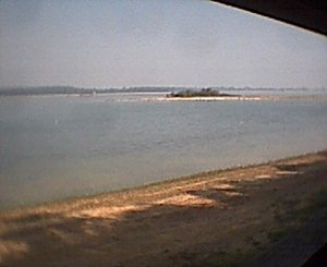 View from one of the hides, bring your binoculars otherwise it's a bit rubbish.