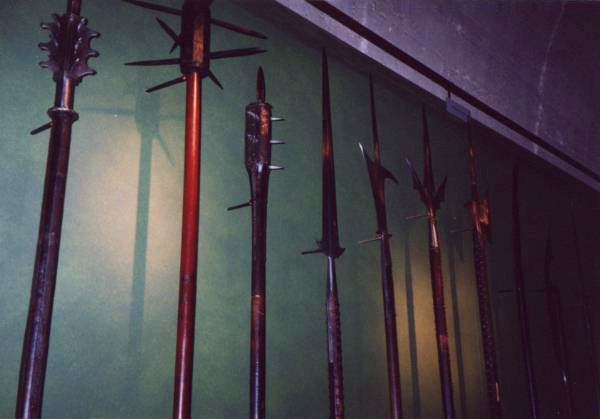 Nasty sharp pointy stick things