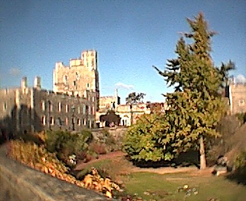 We walked round the garden - literally - as we couldn't get down there