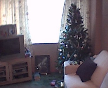 Our new Christmas tree and the remains of the presents